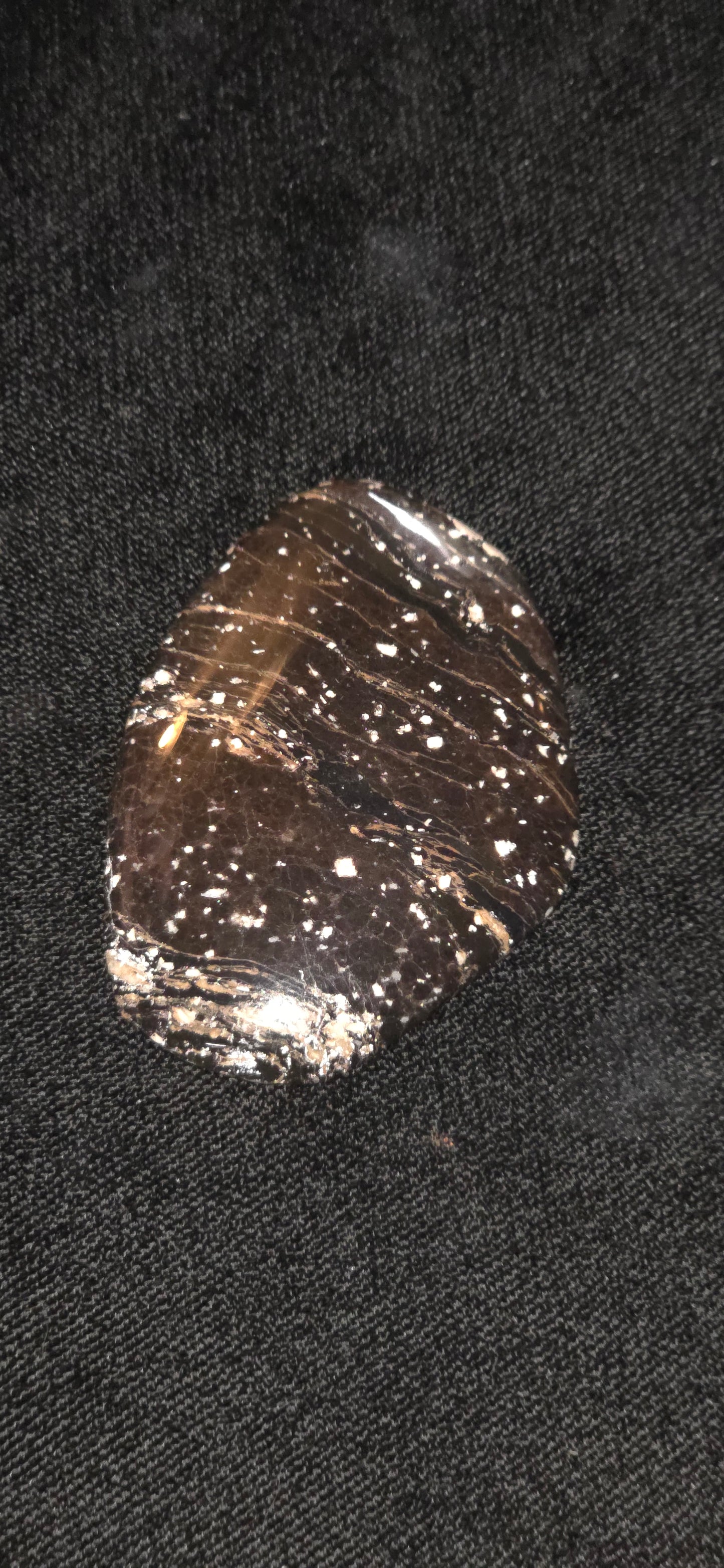 Large nebular obsidian freeform cab #18