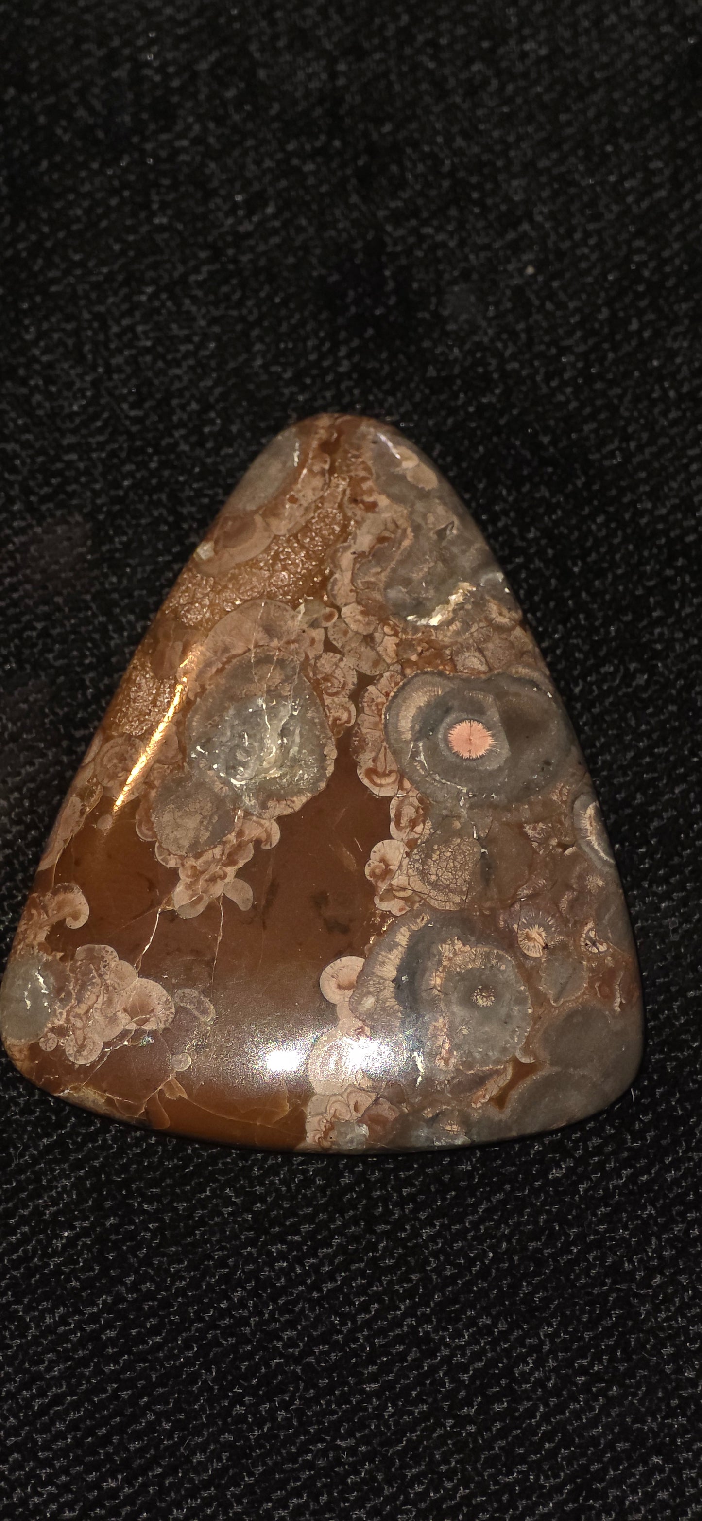 Large birds eye rhiolite free form cab #17