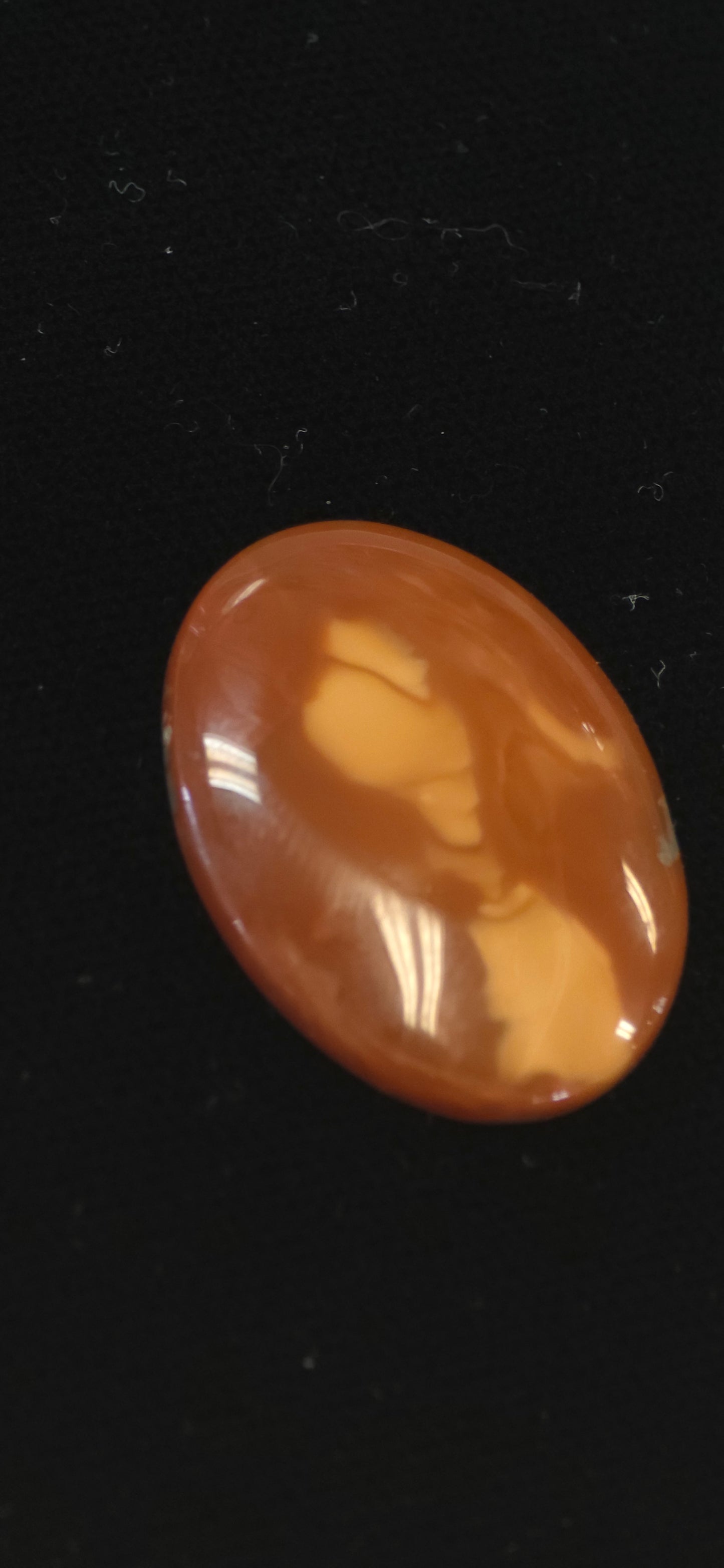 Bruno Jasper cab #5