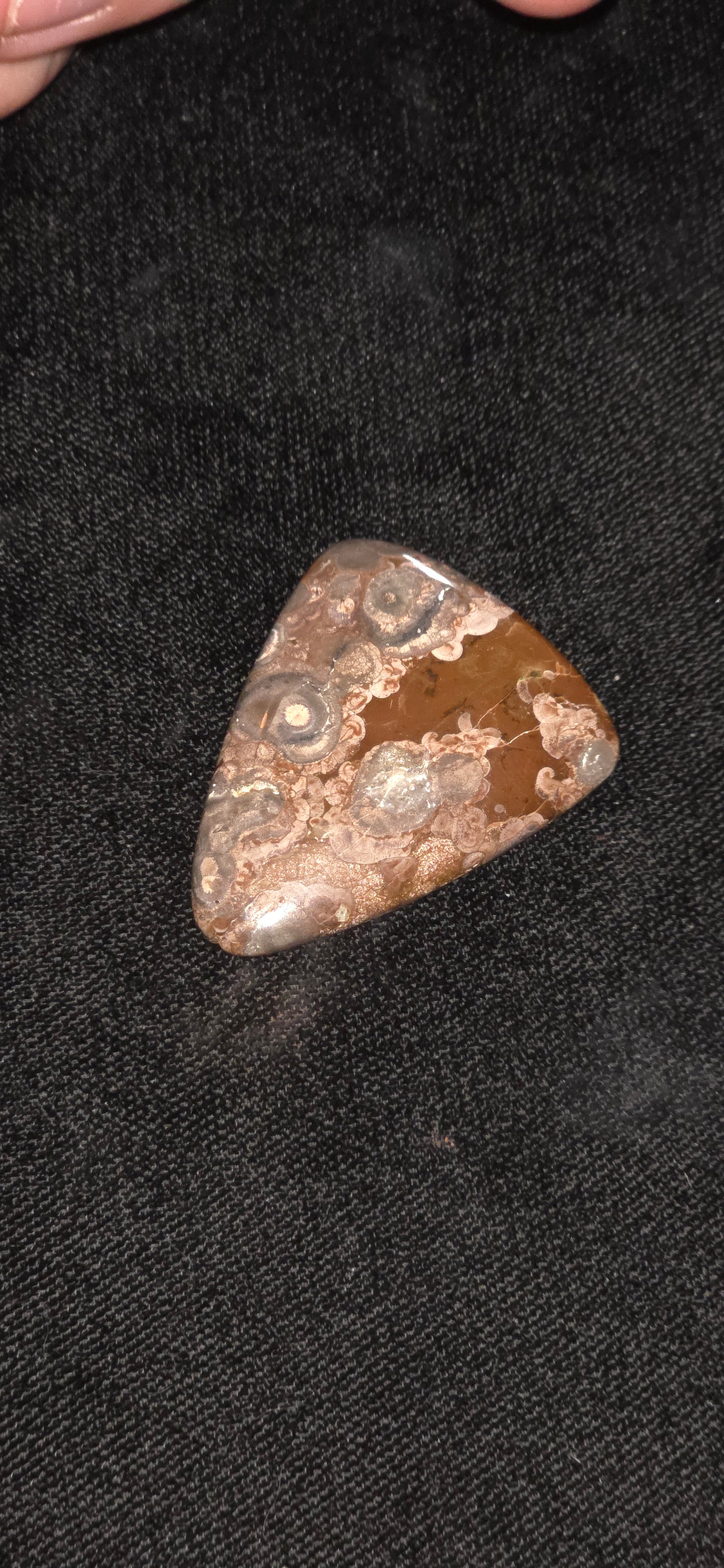 Large birds eye rhiolite free form cab #17