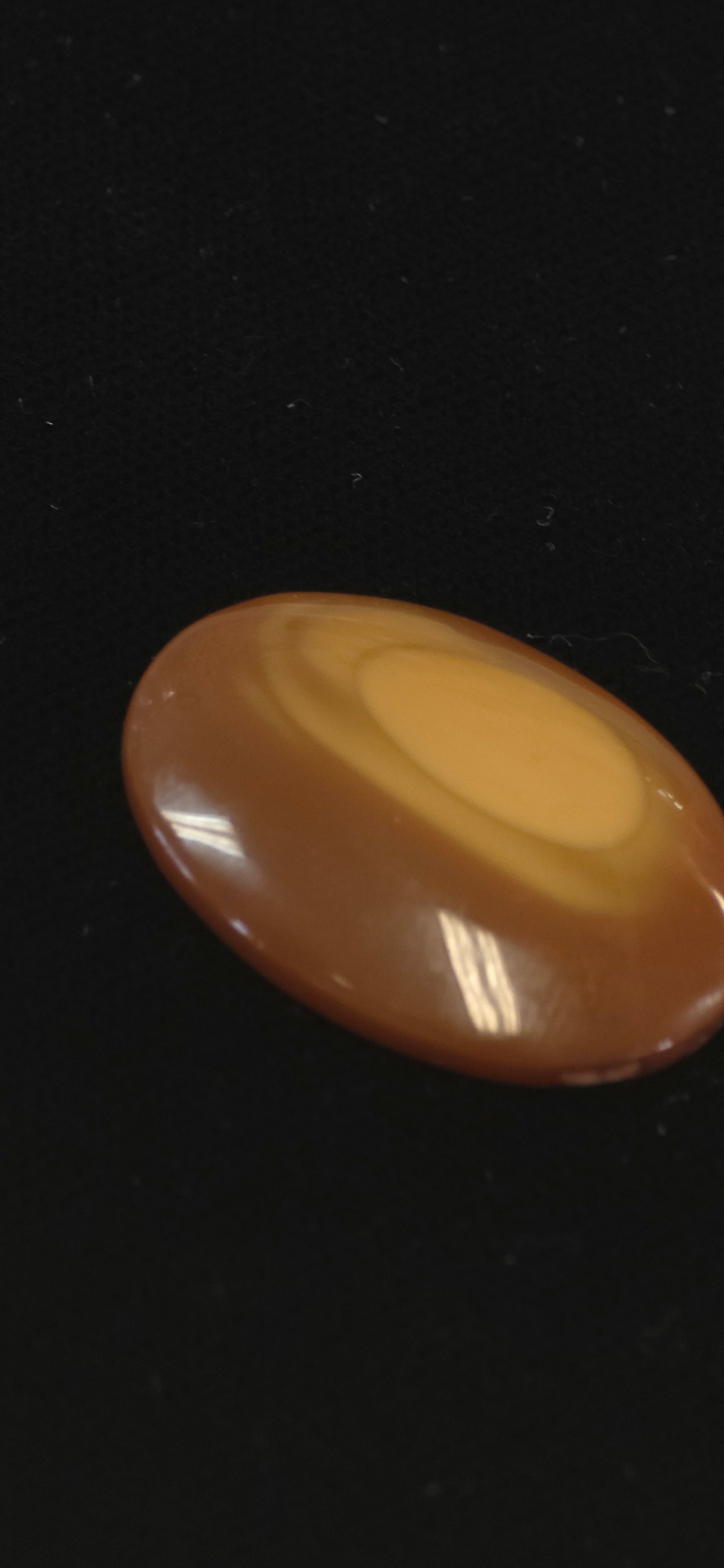 Bruno Jasper cab #6