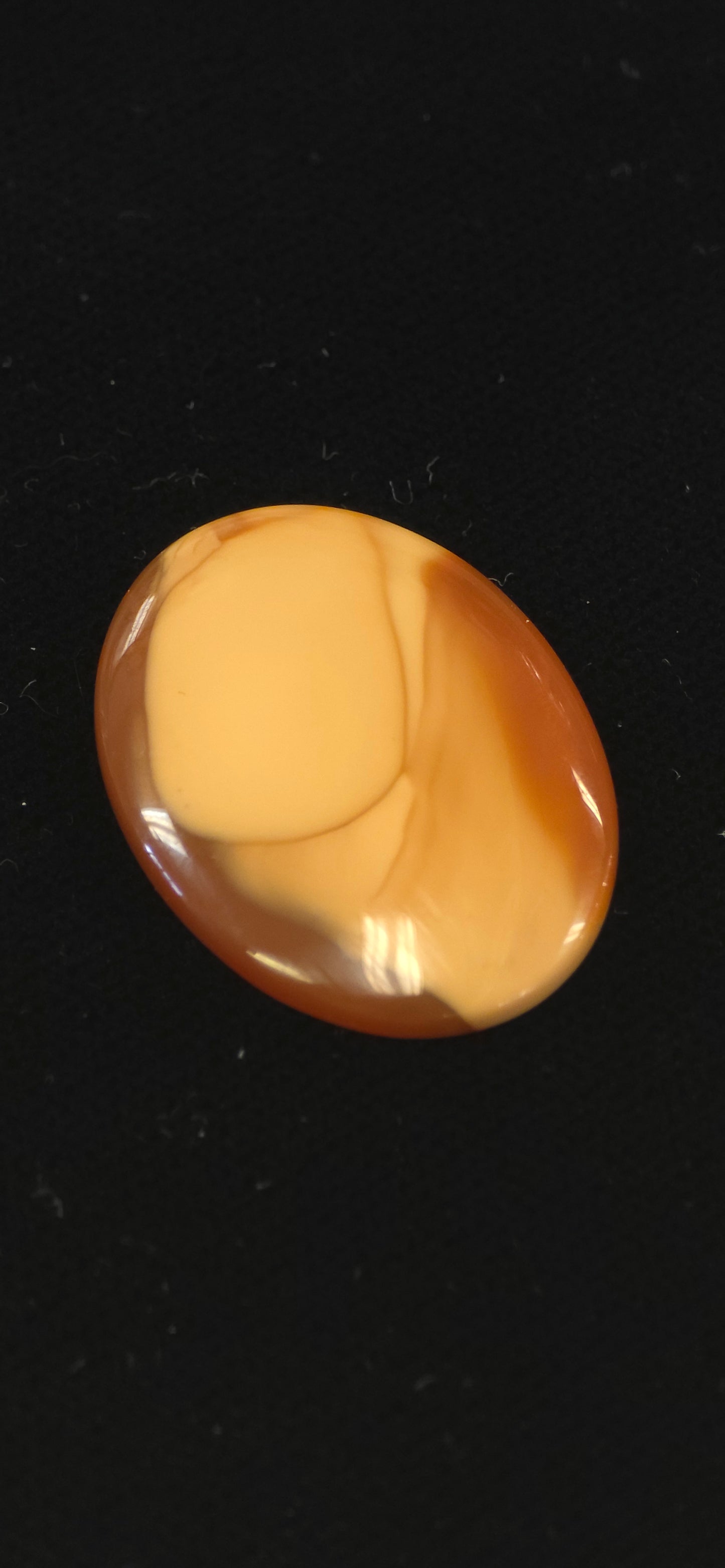 Bruno Jasper cab #4