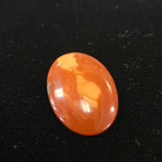 Bruno Jasper cab #5
