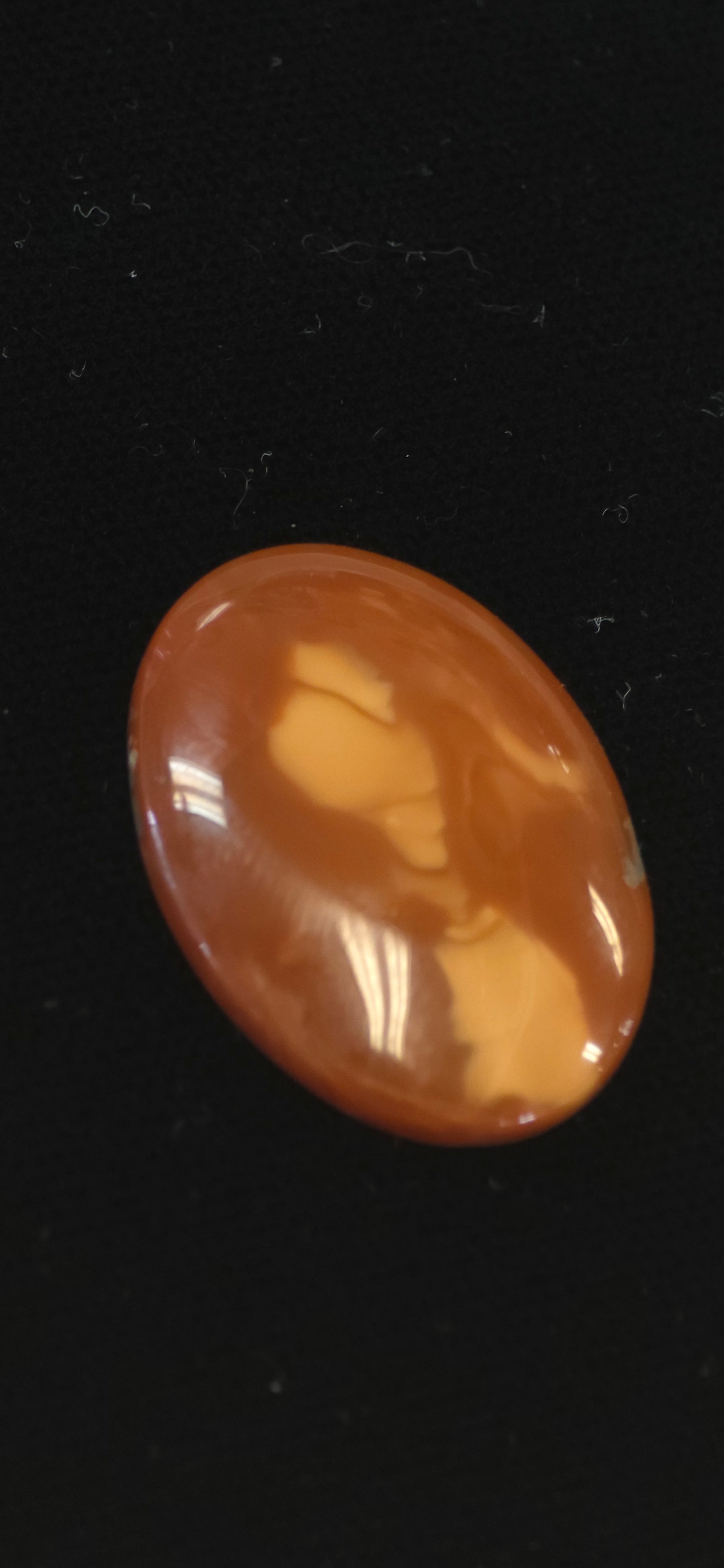 Bruno Jasper cab #5
