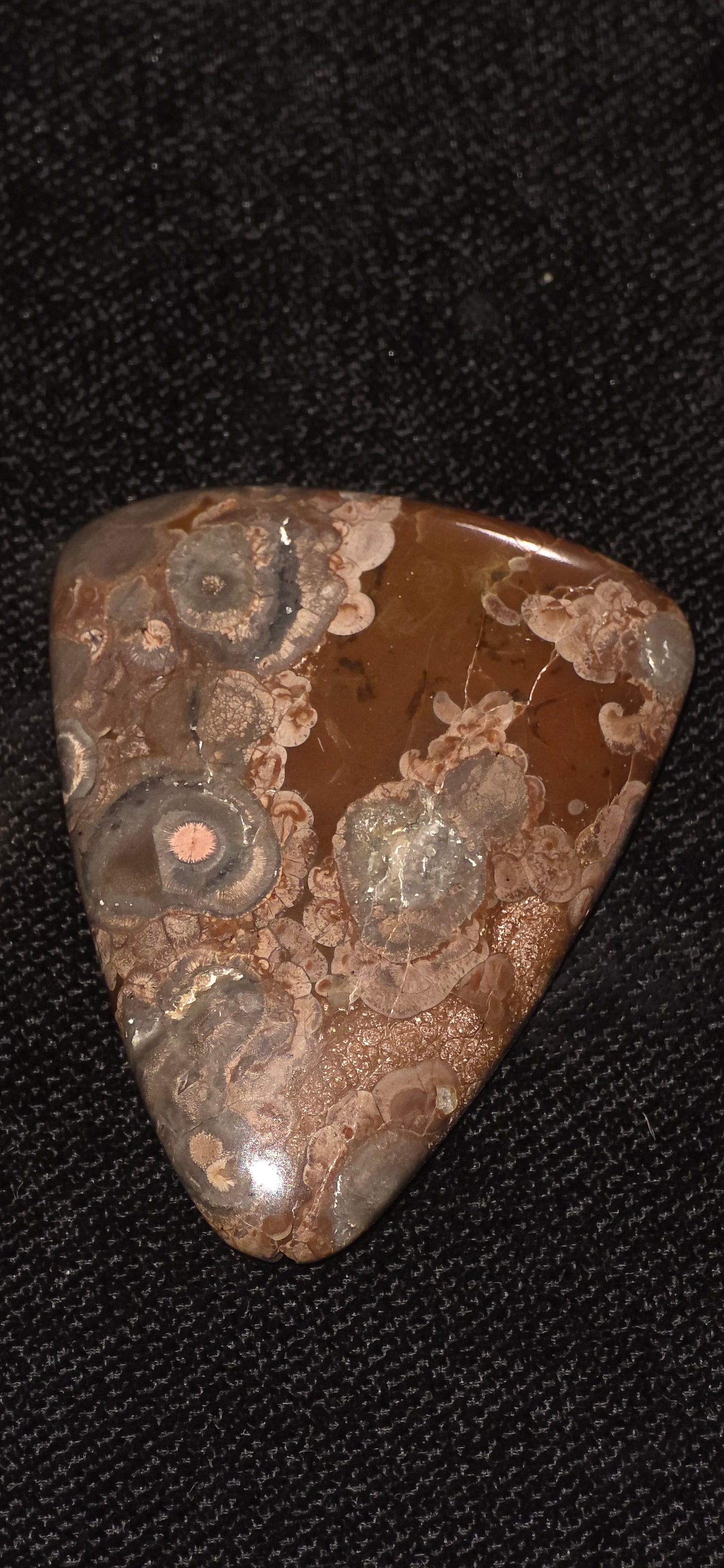 Large birds eye rhiolite free form cab #17
