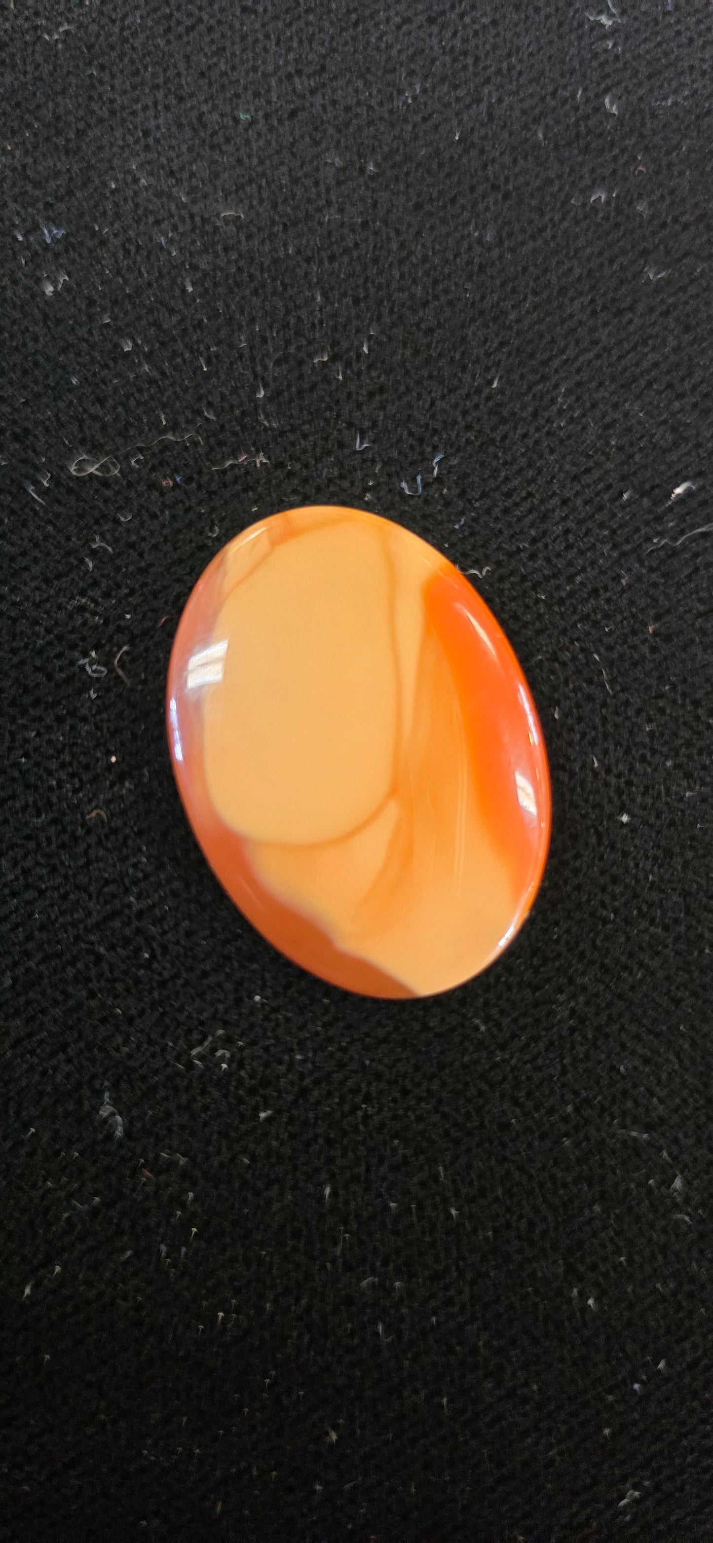 Bruno Jasper cab #4