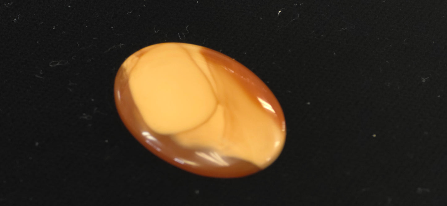Bruno Jasper cab #4