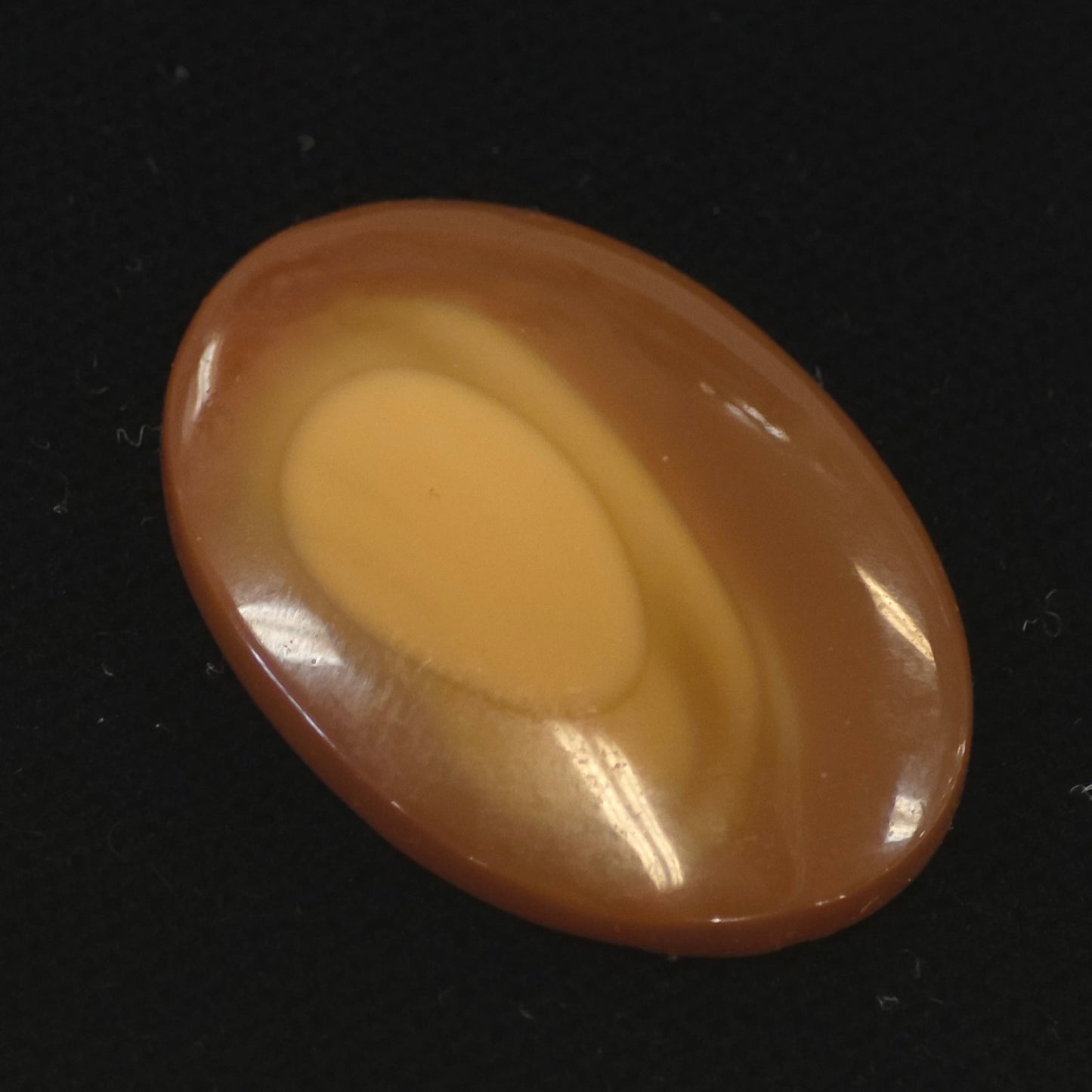 Bruno Jasper cab #6