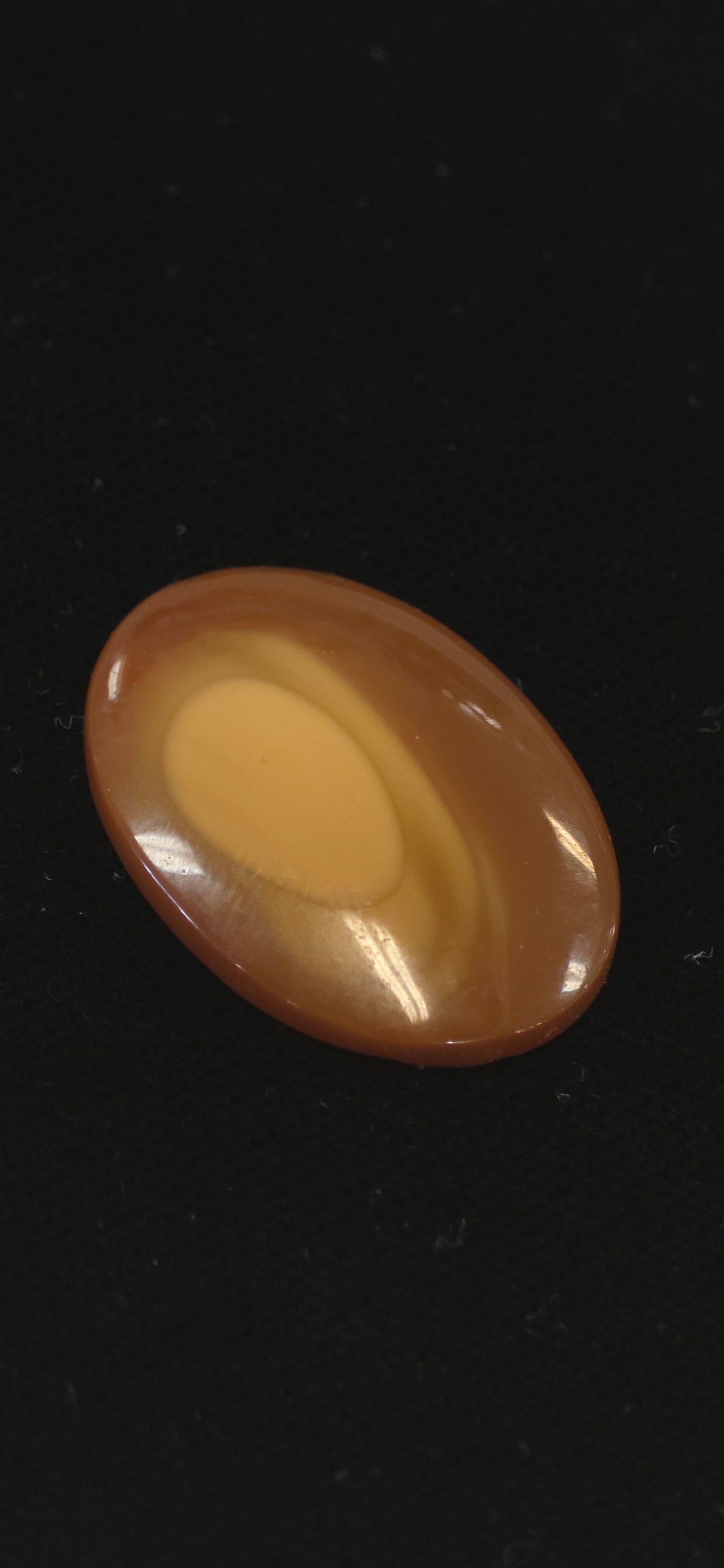 Bruno Jasper cab #6