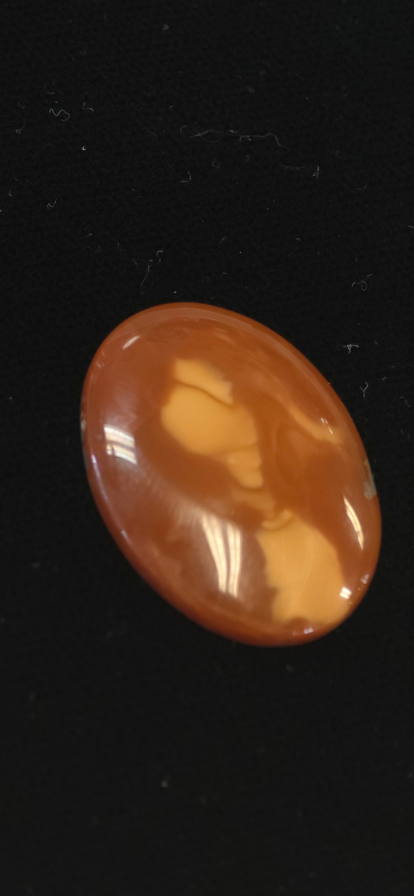 Bruno Jasper cab #5