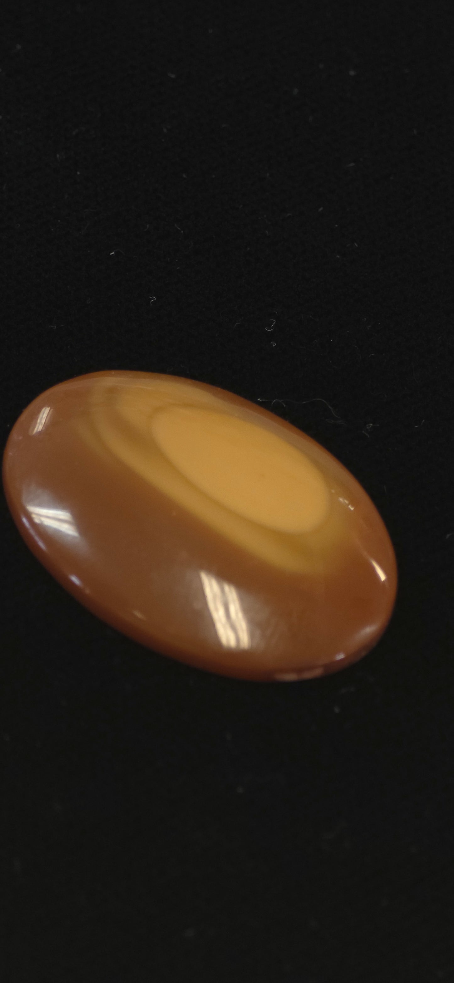 Bruno Jasper cab #6